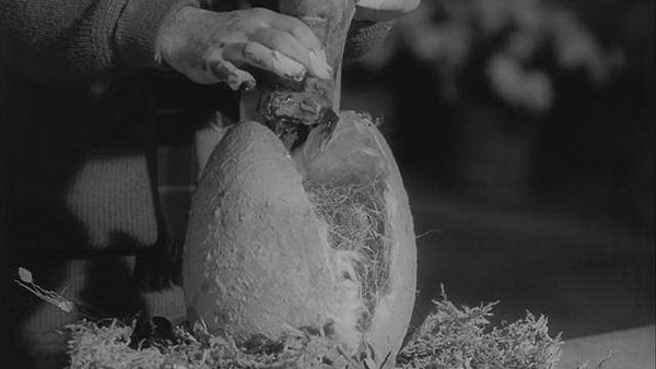 Little app of horrors