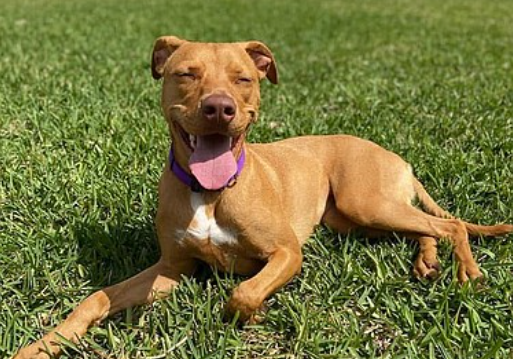 ⭐Arya Running To Win, Bond Blunder?, Cold Shelter Schedule, OB Umpire School Is Done, OB Circle-K Fights