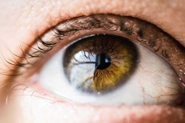 Opening Our Eyes to Jesus