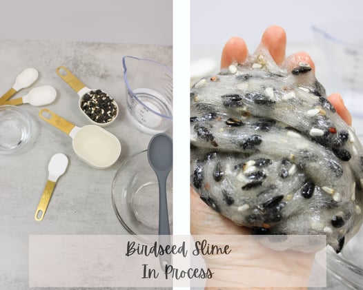 Birdseed Slime {Semi-Exclusive}