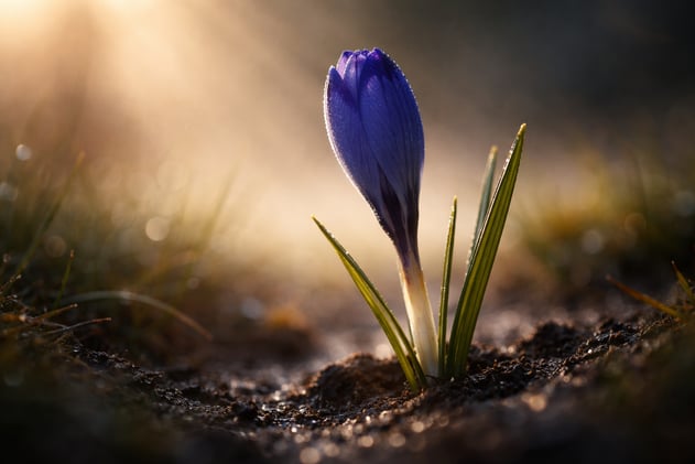 Zanim wszystko będzie gotowe