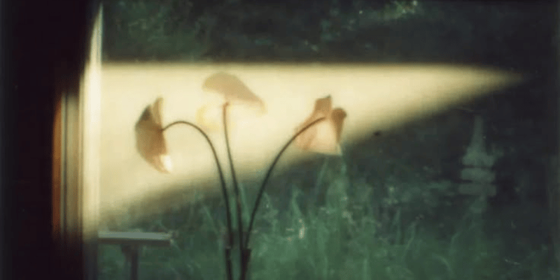 A Study in Silhouette