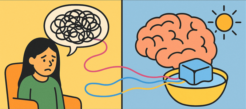 Your Brain Is Lying to You