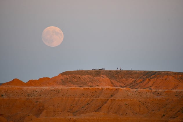 Special 2025 Tours and Discounts for Students and Rangers!