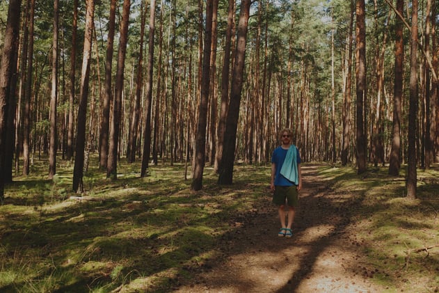 PB006 - A Musical Postcard