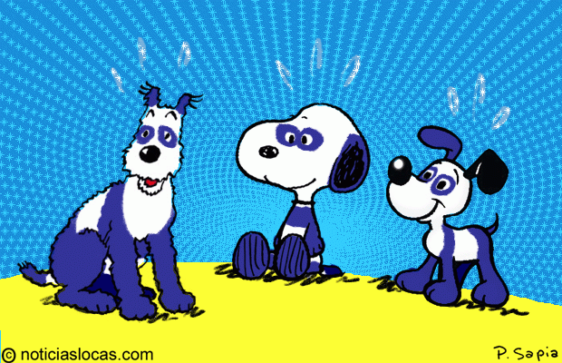 Convirtió a sus perros en pandas