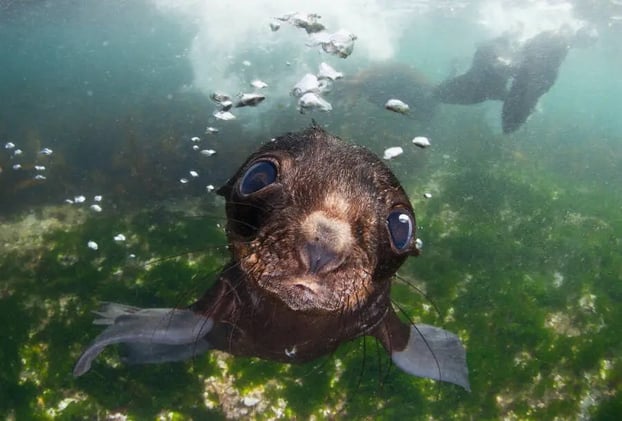 Las mejores imágenes del concurso Sony World Photography 2016