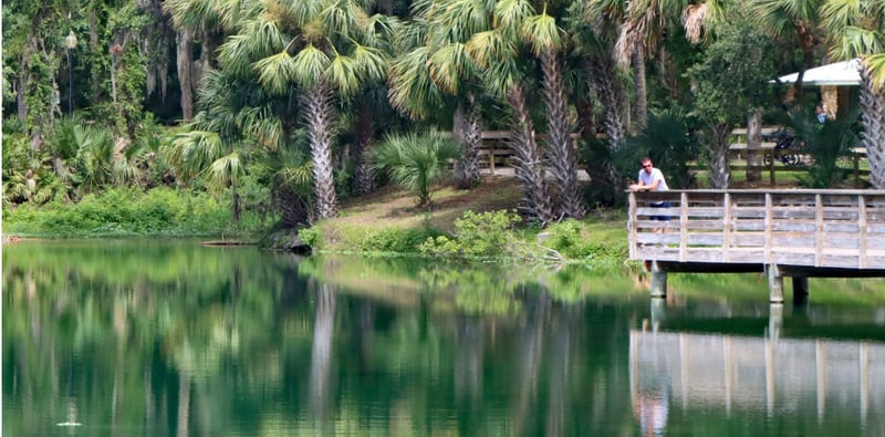 ⭐Outdoor Escapes, Record Rainfall, Farewell To Bob