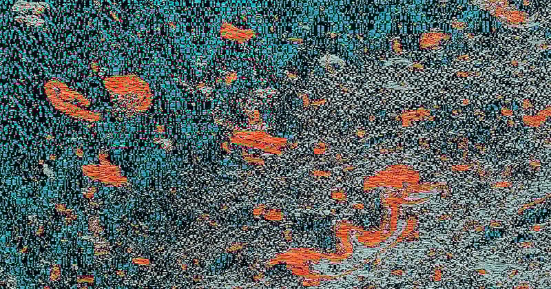 Upcoming Exhibitions