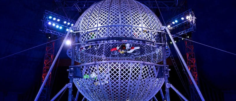 🐝 WellyBuzz: A Circus, Jimmy Carr & Free Summer Concerts