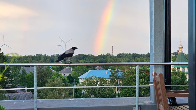 Dispatch from the middle of the storm