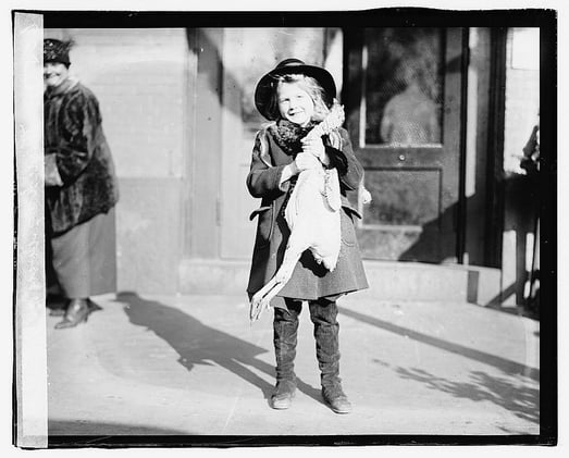 It's almost turkey time.