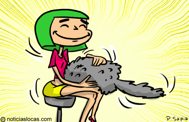 Ya podés reemplazar a tu mascota con una almohada peluda que mueve la cola