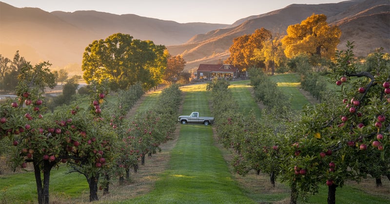 Want to Feel Winter Coming? Drive 90 Minutes from LA and Do This