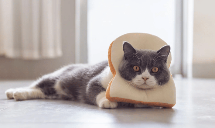What in the Carb-Crafting Chaos Is This?!