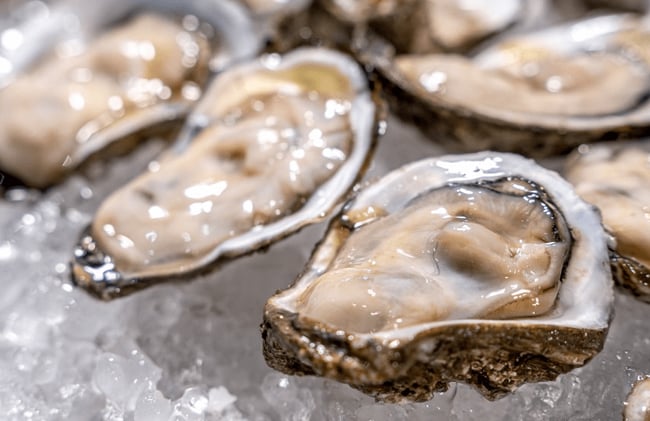 Why Eating Raw Oysters Can Be Risky All Year