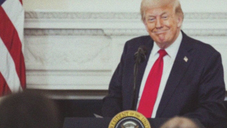 🥊 MAGA contra MAGA