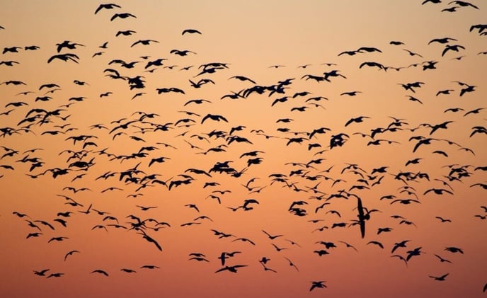 Why Millennials are flocking to Florida