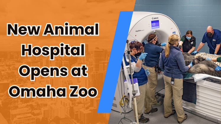 🎭 Broadway singalongs, bites, and charcuterie? This Scoop says yes!