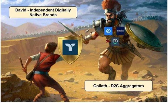 Extending David’s Runway Against Goliath in D2C E-Commerce
