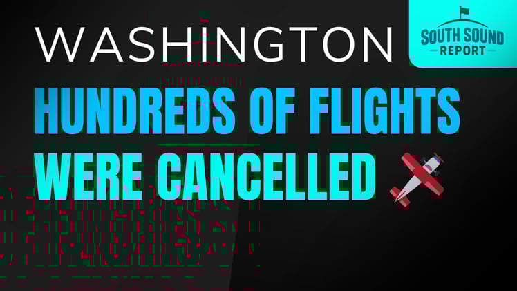 ✈️ Flight Reductions Across the U.S. Are Starting to Impact Travelers