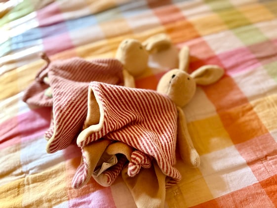 The Stuffy Backup Plan Every Parent Needs!