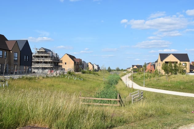 Green and Blue: How Developers Can Meet Biodiversity Net Gain with Better Water Design