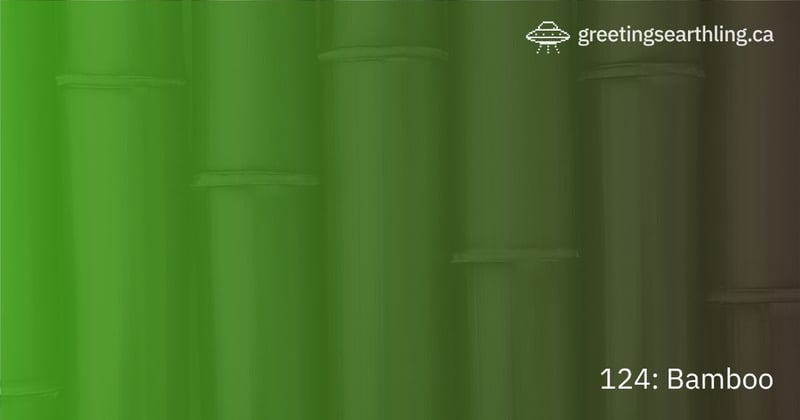 Transmission 124: Bamboo