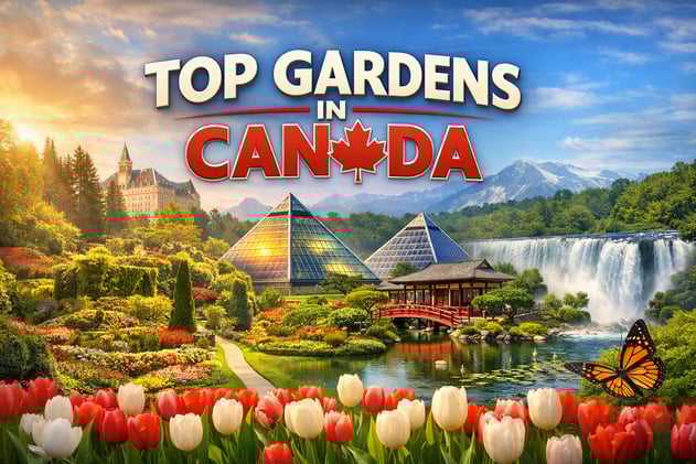 Things to Do in Canada 272