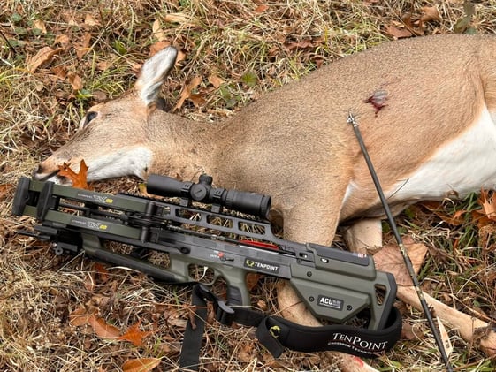Let freedom ring with iSportsman