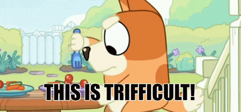 2025.07.15 what a day