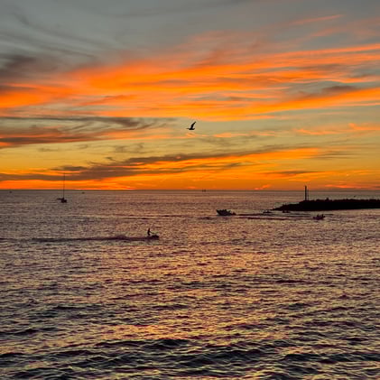 St. Patrick's Parade, Holi Festival & a stacked Saturday in the South Bay