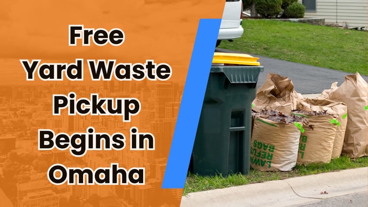 🎃 Halloween destinations +Día de los Muertos vibes... and way more inside