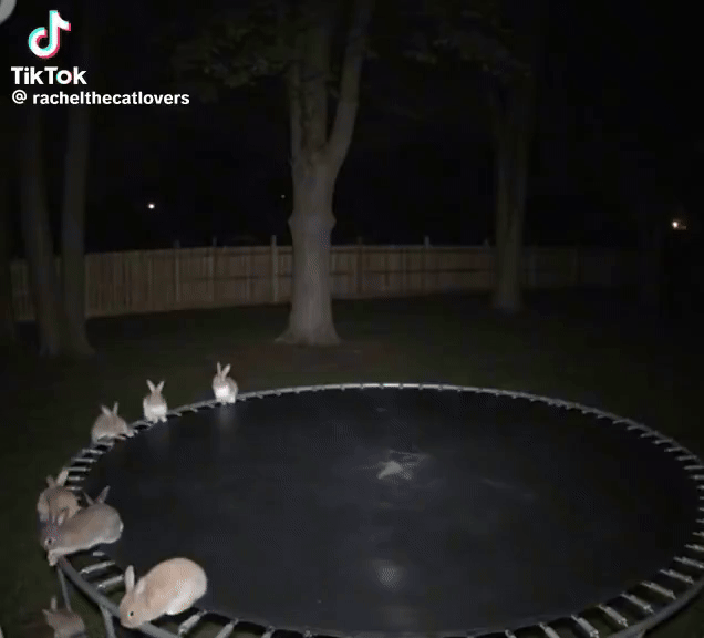 🏦 Why even major creative awards don't guarantee financial stability for artists.