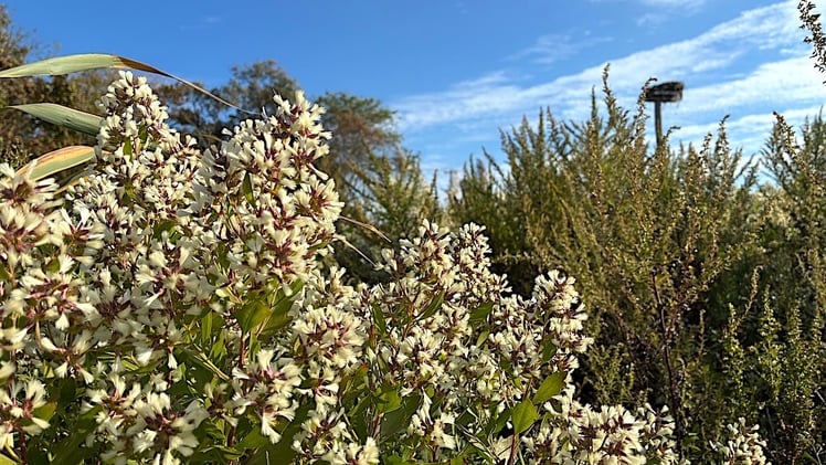 This Morning's Bulletin — 10.8.25