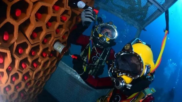 Añejar vino en el fondo del mar, la nueva moda en Francia