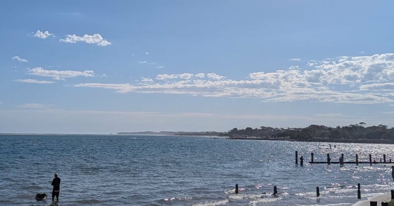 Newsletter: Hot one today