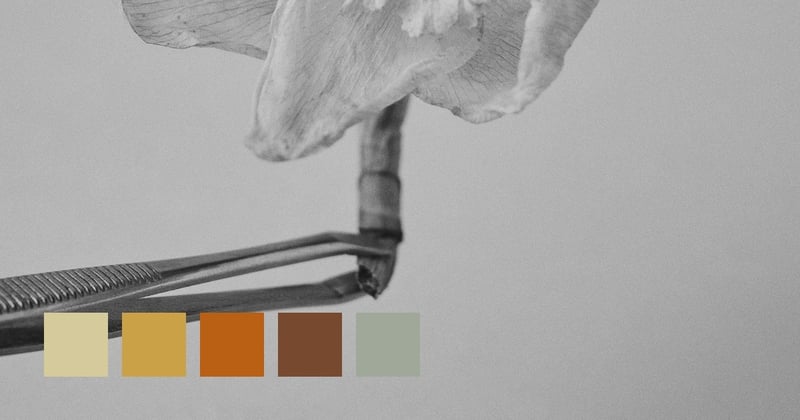 So Small And Delicate