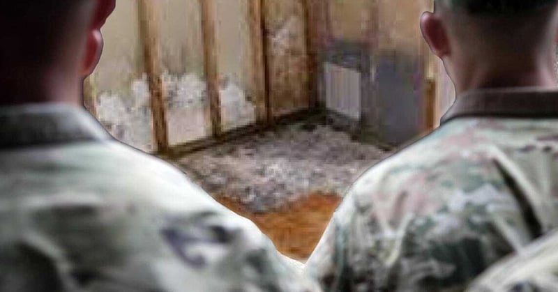 Soldiers evicted from barracks to protect endangered black mold species