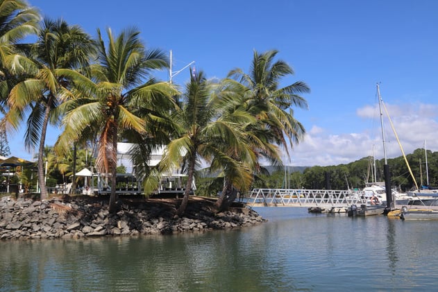 Newsport Alert Wednesday 10 December 2025