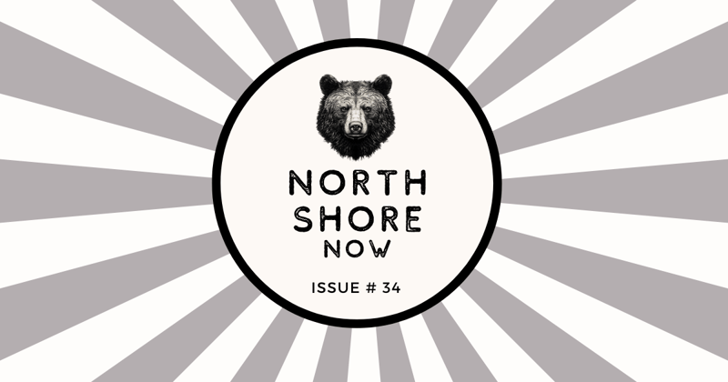 🍨 DIY Ice Cream Bowls, Bear-Thdays and a Music Fest: Plus 50+ Things to Do on the North Shore this Week