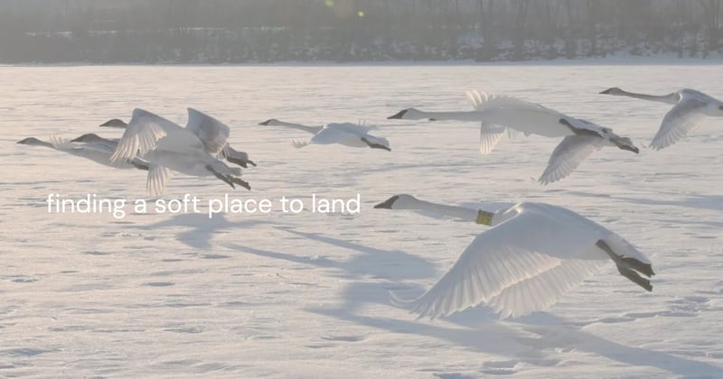 🧳 For all that we carry