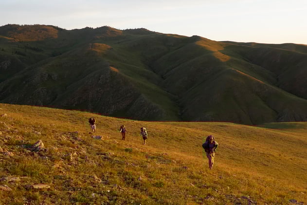 2025 Highlights & 2026 Journeys