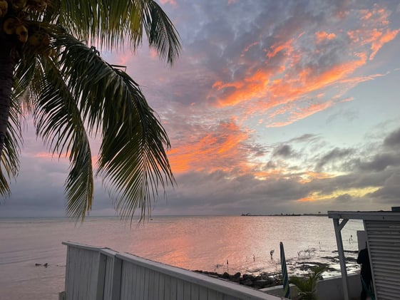 The Magic of The Bahamas