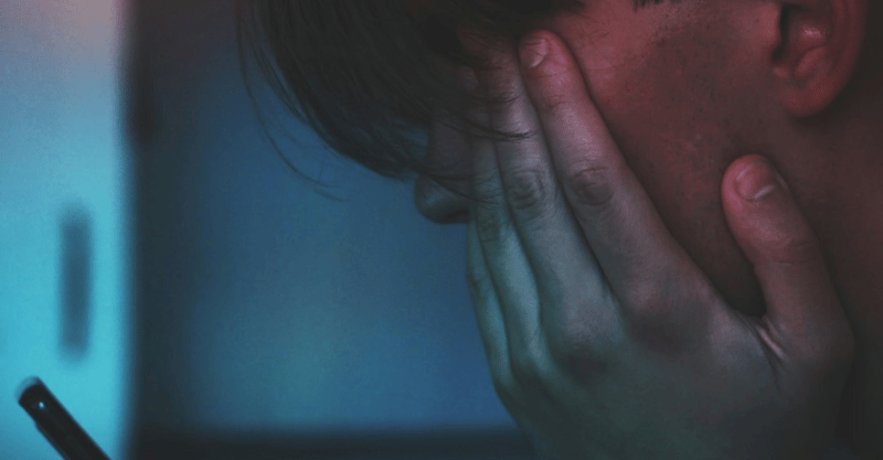 The Artist Landscape