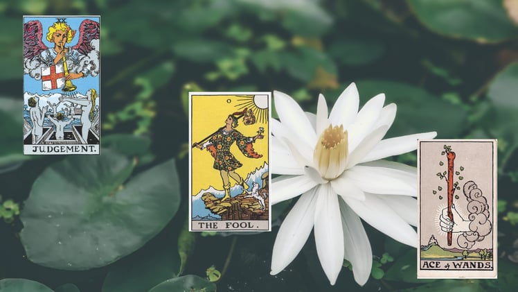 🌿 Emergence & Renewal