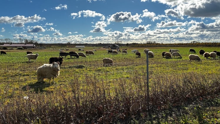 This Morning's Bulletin — 11.7.25