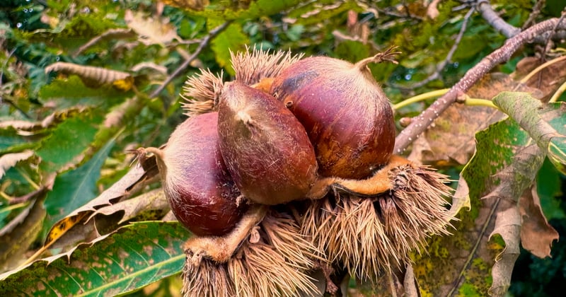 Il risveglio è sempre per gli altri...