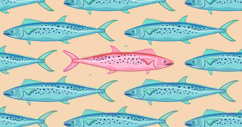 A pattern interrupted | 3 min read