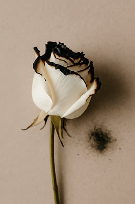 What Does Support Look Like When No One Is Watching?